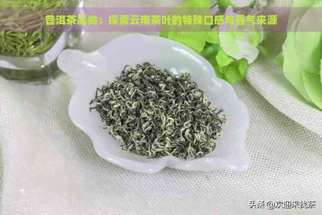 普洱茶品类：探索云南茶叶的特殊口感与香气来源