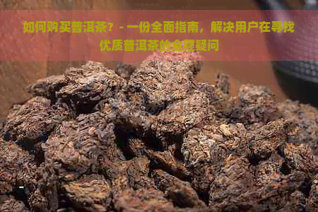 如何购买普洱茶？- 一份全面指南，解决用户在寻找优质普洱茶的全程疑问