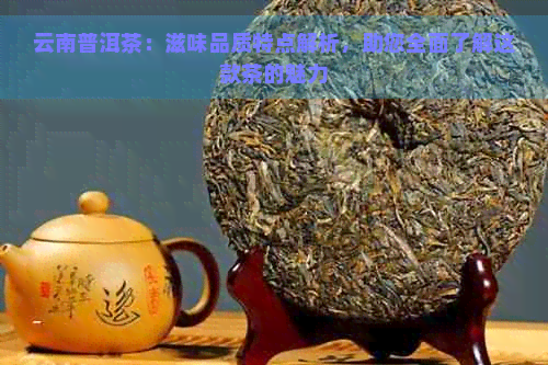 云南普洱茶：滋味品质特点解析，助您全面了解这款茶的魅力