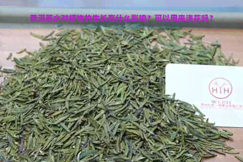 普洱茶水对植物的生长有什么影响？可以用来浇花吗？