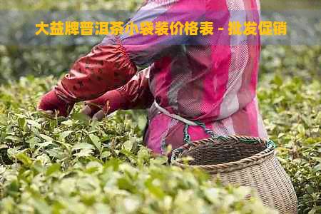 大益牌普洱茶小袋装价格表 - 批发促销