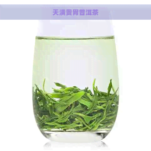 天潢贵胄普洱茶