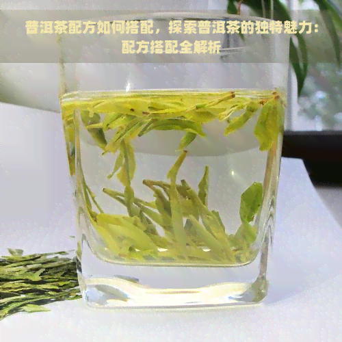 普洱茶配方如何搭配，探索普洱茶的独特魅力：配方搭配全解析