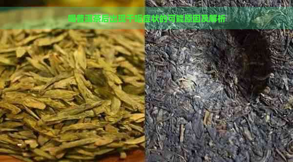 喝普洱茶后出现干呕症状的可能原因及解析