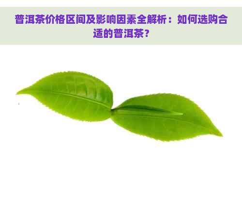 普洱茶价格区间及影响因素全解析：如何选购合适的普洱茶？