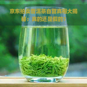 京东拍卖普洱茶自营真相大揭秘：真的还是假的？