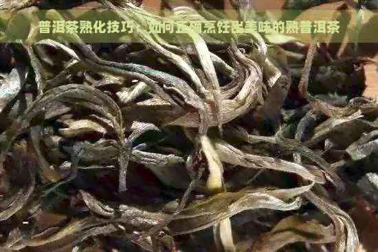 普洱茶熟化技巧：如何正确烹饪出美味的熟普洱茶