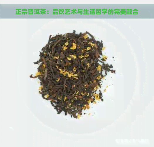 正宗普洱茶：品饮艺术与生活哲学的完美融合