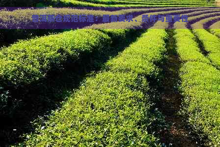 普洱茶仓规范标准：最新要求、条件与重要性