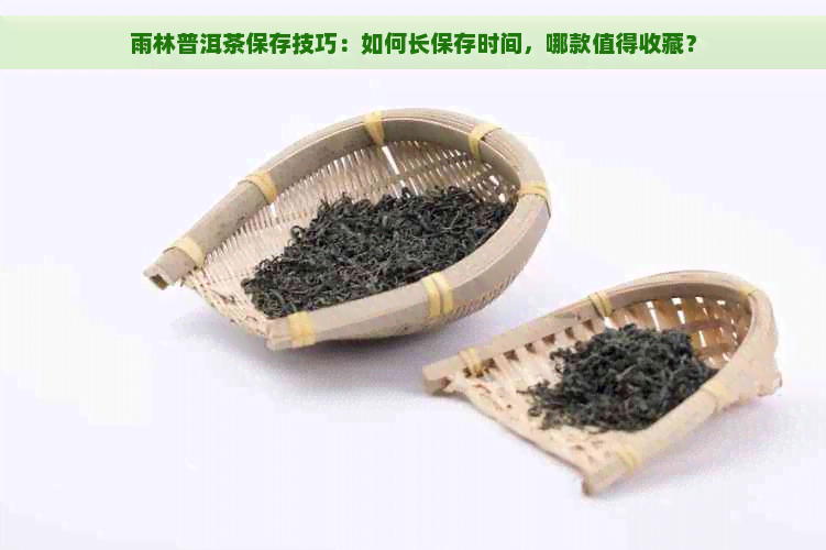 雨林普洱茶保存技巧：如何长保存时间，哪款值得收藏？