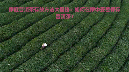 家庭普洱茶存放方法大揭秘：如何在家中妥善保存普洱茶？