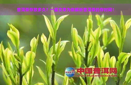 普洱茶存放多久？一篇文章为你解析普洱茶的存时间！