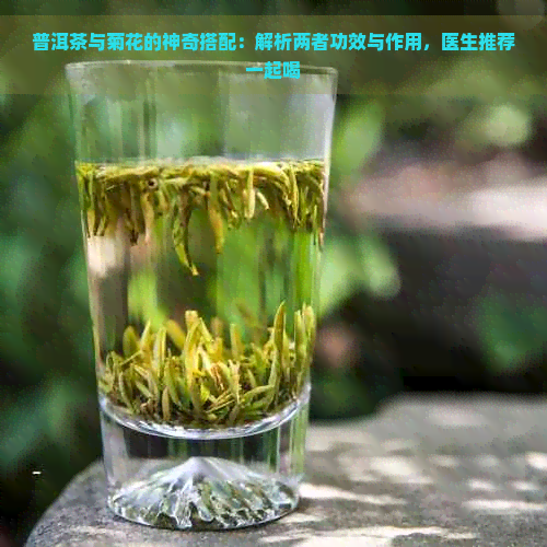 普洱茶与菊花的神奇搭配：解析两者功效与作用，医生推荐一起喝