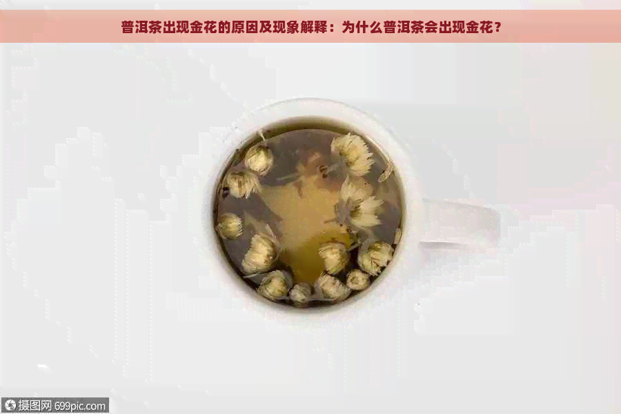 普洱茶出现金花的原因及现象解释：为什么普洱茶会出现金花？