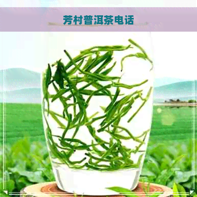 芳村普洱茶电话