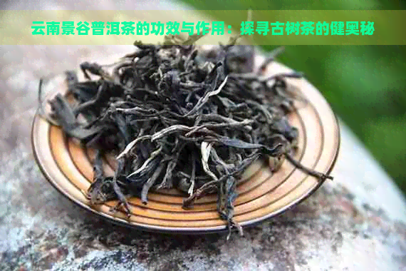 云南景谷普洱茶的功效与作用：探寻古树茶的健奥秘