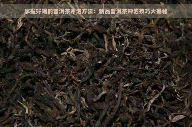 掌握好喝的普洱茶冲泡方法：精品普洱茶冲泡技巧大揭秘