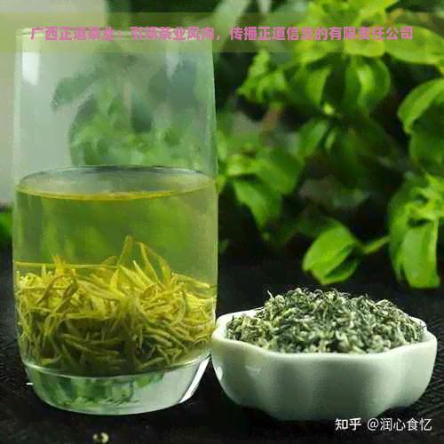 广西正道茶业：引领茶业风向，传播正道信息的有限责任公司