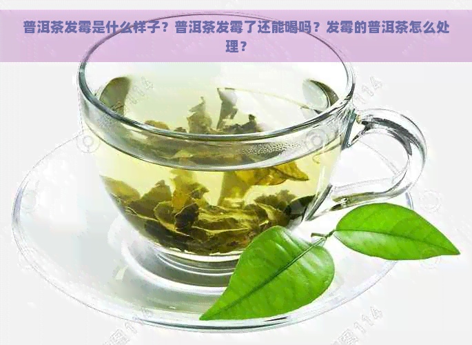 普洱茶发霉是什么样子？普洱茶发霉了还能喝吗？发霉的普洱茶怎么处理？