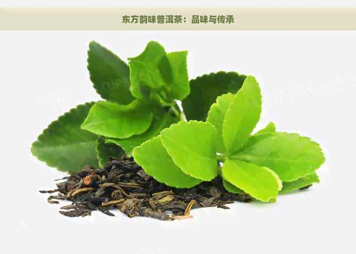 东方韵味普洱茶：品味与传承