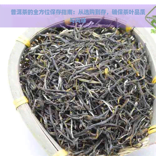 普洱茶的全方位保存指南：从选购到存，确保茶叶品质与风味