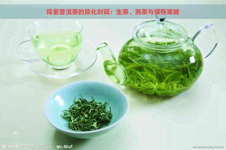 探索普洱茶的陈化时间：生茶、熟茶与保存策略