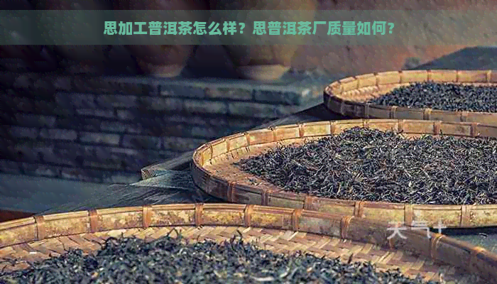 思加工普洱茶怎么样？思普洱茶厂质量如何？