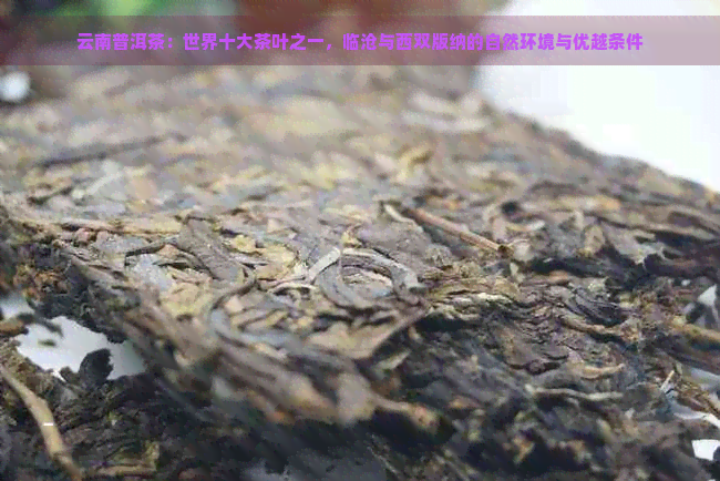 云南普洱茶：世界十大茶叶之一，临沧与西双版纳的自然环境与优越条件