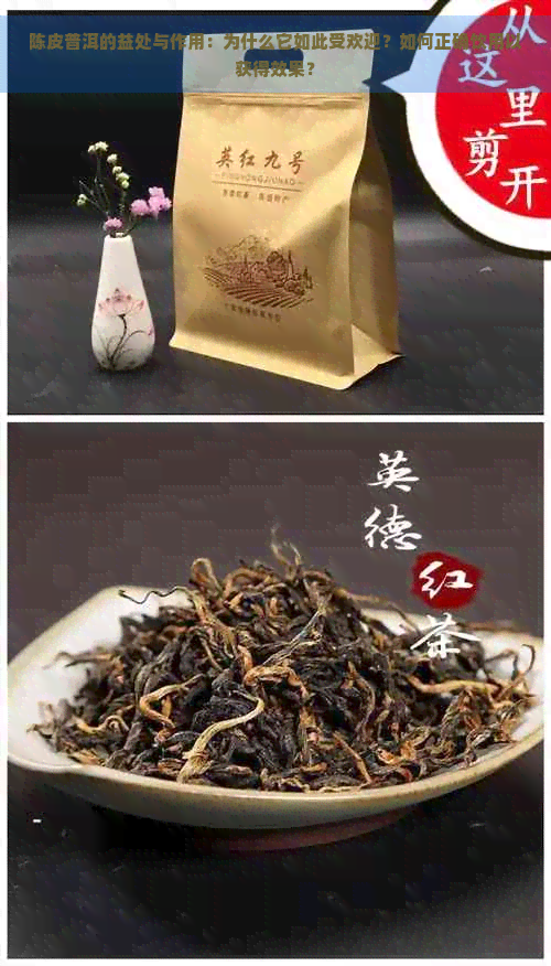 陈皮普洱的益处与作用：为什么它如此受欢迎？如何正确饮用以获得效果？