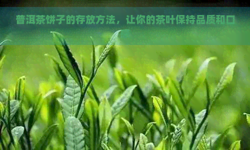 普洱茶饼子的存放方法，让你的茶叶保持品质和口感