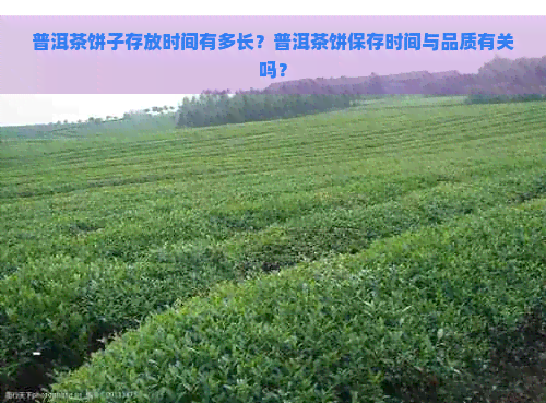 普洱茶饼子存放时间有多长？普洱茶饼保存时间与品质有关吗？