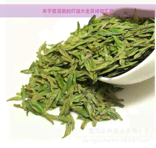 关于普洱茶的灯谜大全及诗句汇总