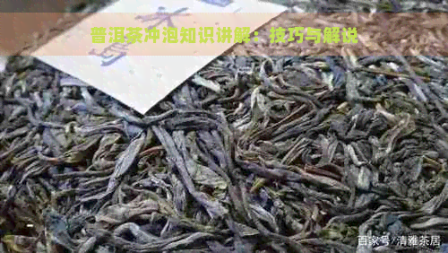 普洱茶冲泡知识讲解：技巧与解说