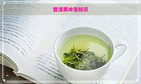 普洱茶冲泡知识