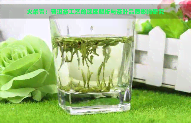 火杀青：普洱茶工艺的深度解析与茶叶品质影响研究