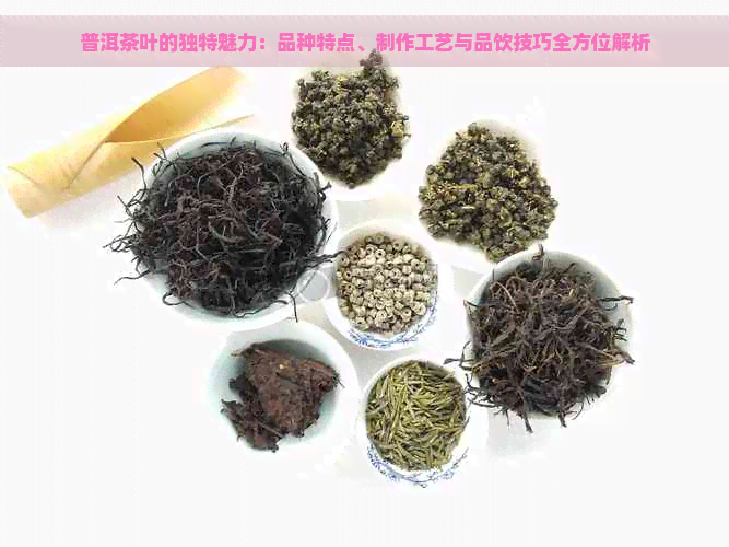 普洱茶叶的独特魅力：品种特点、制作工艺与品饮技巧全方位解析