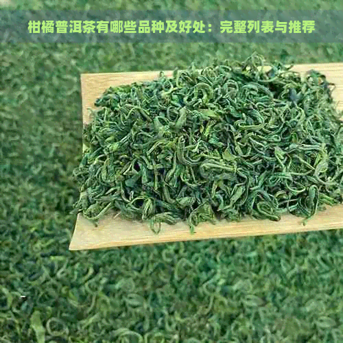 柑橘普洱茶有哪些品种及好处：完整列表与推荐