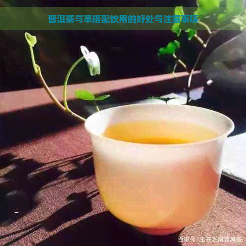 普洱茶与草搭配饮用的好处与注意事项