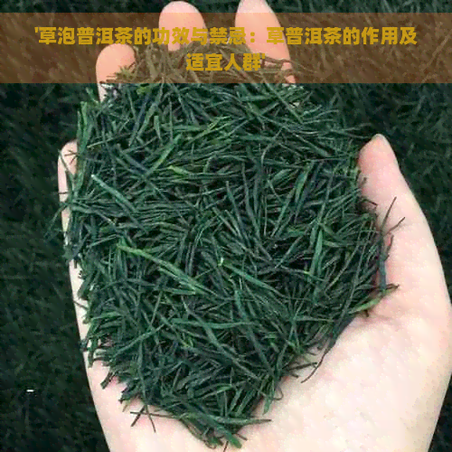 '草泡普洱茶的功效与禁忌：草普洱茶的作用及适宜人群'