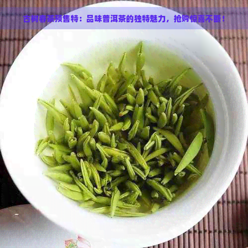 古树春茶预售特：品味普洱茶的独特魅力，抢购惊喜不断！