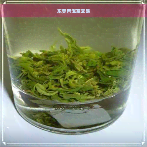 东莞普洱茶交易