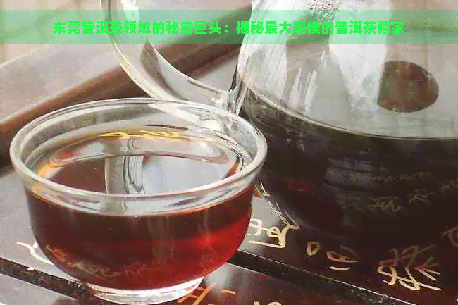 东莞普洱茶领域的秘密巨头：揭秘更大规模的普洱茶藏家