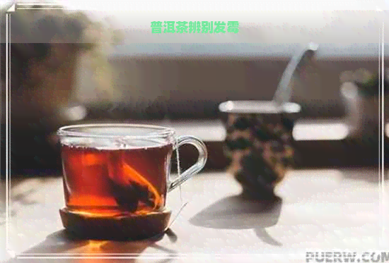 普洱茶辨别发霉