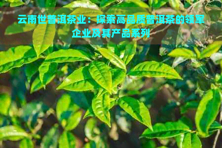 云南世普洱茶业：探索高品质普洱茶的领军企业及其产品系列