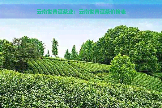 云南世普洱茶业：云南世普洱茶价格表