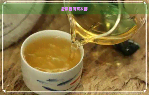 后期普洱茶发酵