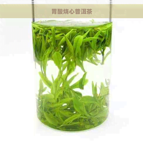 胃酸烧心普洱茶