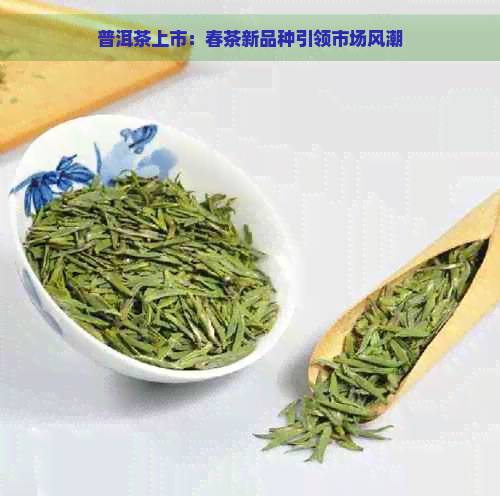 普洱茶上市：春茶新品种引领市场风潮