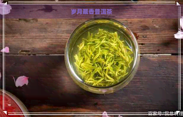 岁月藏香普洱茶