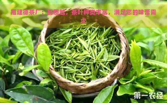 福建德茶厂：品质越，茶叶种类丰富，满足您的味蕾需求